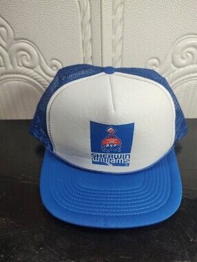 Vtg Sherwin Williams Blue and White Trucker Cap Snap Back